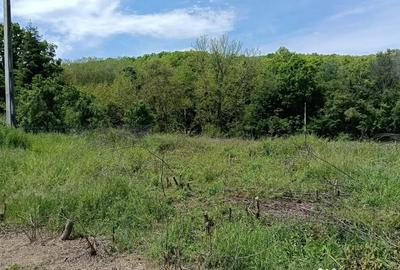 Teren de 1807 mp, în Cocorăștii Mislii