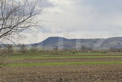 Teren de 17400 mp, în Central