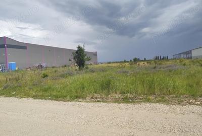 Teren de 10000 mp, în Afumați - 2