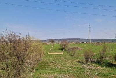 Teren de 500 mp, în Pielești