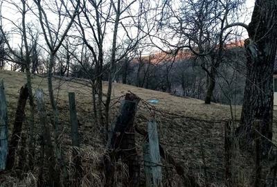 Teren de 1600 mp, în Lunca (Moroeni)