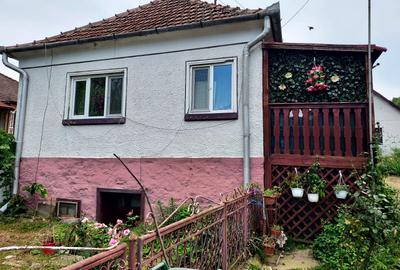 Casă individuală cu 2 camere cu Teren 7000 Mp în Nojag - 3