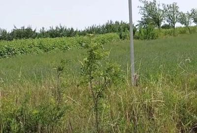 Teren de 5000 mp, în Copălău - 5