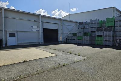 Spațiu industrial, de 2,000 mp, în Hamba - 19