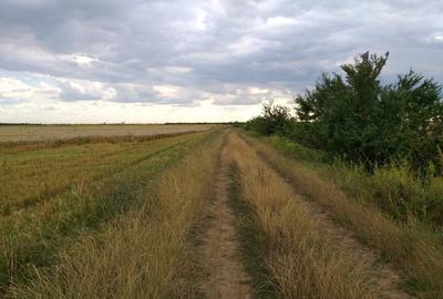 Teren agricol extravilan de 270000 mp, în Bâldana - 6