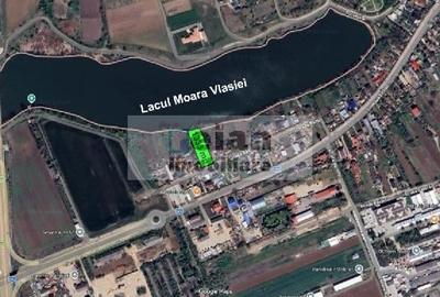 Teren Construcții intravilan de 1333 mp, în Moara Vlăsiei - 2