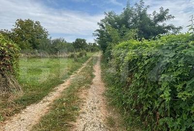 Teren de 1368 mp, în Vulcana-Pandele