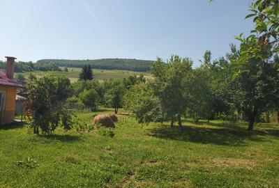 Casă cu 4 camere în Jichișu de Jos - 16