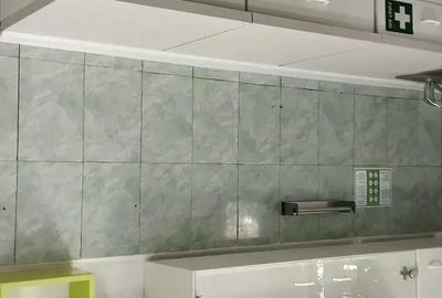 Spațiu comercial, în Șagului - 4