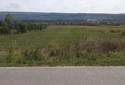 Teren de 1700 mp, în Bascov - 3