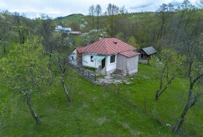 Casă cu 2 camere în Berislăvești - 3