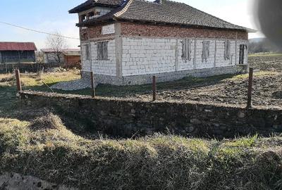 Casă cu 7 camere cu Teren 5000 Mp în Grădiștea - 1