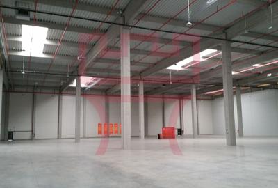 Spațiu industrial, de 600 mp, în Câmpenești - 2