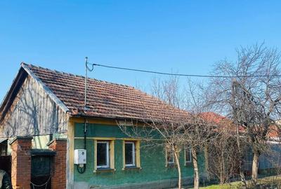 Casă cu 4 camere cu Teren 1554 Mp în Central