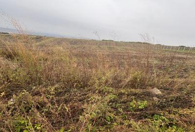 Teren de 11600 mp, în Valea Lupului - 3