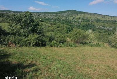 Teren de 2408 mp, în Mogoșești - 2