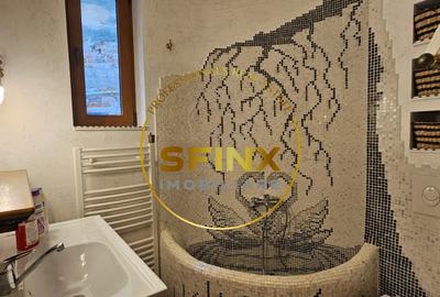 Apartament cu 2 camere semidecomandat, mobilat în Parcul Carol - 8