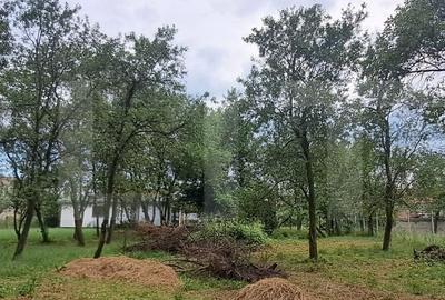 Teren de 1300 mp, în Mândra - 15