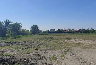 Teren de 980 mp, în Săcălaz - 1