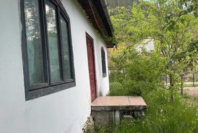 Casă cu 4 camere în Poiana Largului - 8