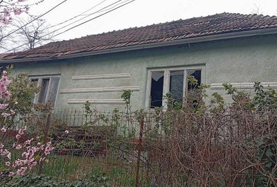 Casă cu Teren 180 Mp în Central - 1
