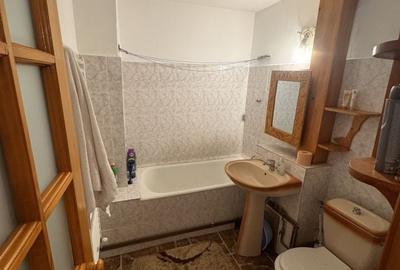 Apartament cu 3 camere decomandat în Craiovița Nouă - 12