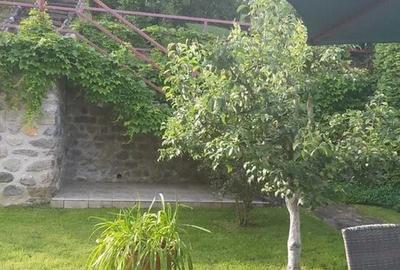 Casă cu 6 camere cu Teren 1310 Mp în Mihăești - 1
