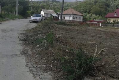 Teren de 1308 mp, în Copăcelu