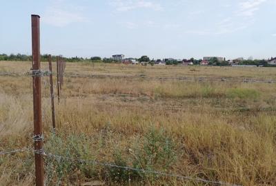 Teren Construcții intravilan de 28000 mp, în Lacul Morii - 8