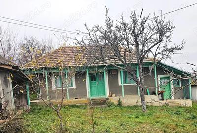 Casă cu 2 camere cu Teren 5000 Mp în Roșu - 7