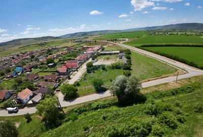 Teren de 7929 mp, în Daneș