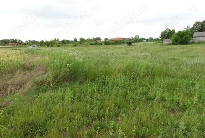 Teren de 10100 mp, în Tâncăbești - 6