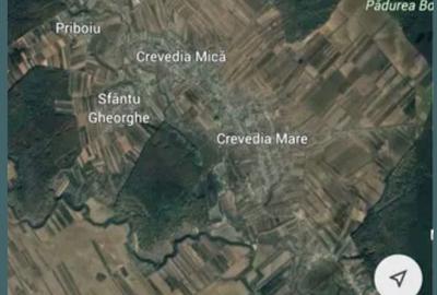 Teren de 4268 mp, în Crevedia Mică