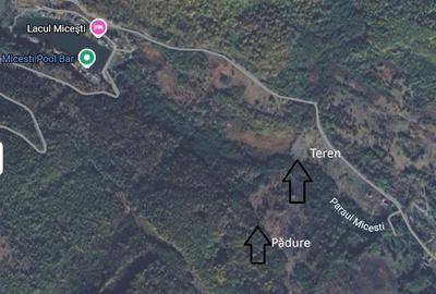Teren de 5000 mp, în Micești - 5