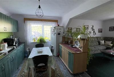 Casă individuală cu 3 camere cu Teren 2500 Mp în Ulieș - 18