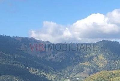 Teren intravilan de 10000 mp, în Ceahlău - 1