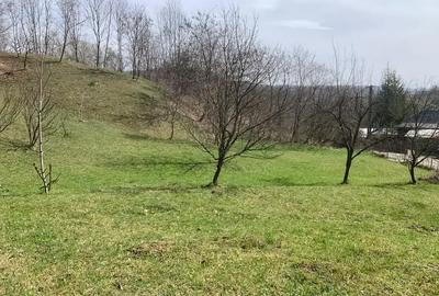 Teren intravilan de 5500 mp, în Provița de Sus