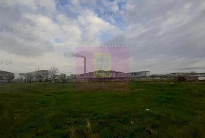 Teren de 1055 mp, în Berceni
