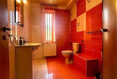 Casă individuală cu 10 camere cu Piscina în Malul Ursului - 28