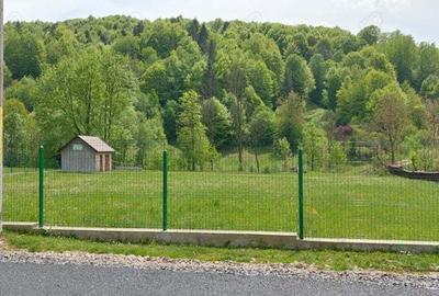 Teren de 12820 mp, în Agăș - 7
