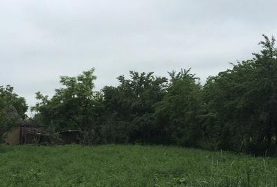 Casă cu Teren 2520 Mp în Moreni - 3