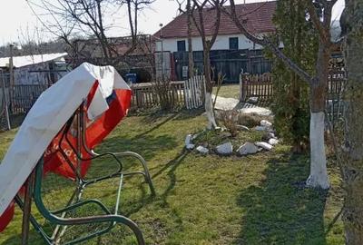 Casă cu 2 camere în Țichindeal - 2