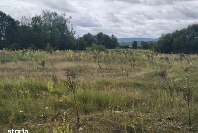 Teren de 4594 mp, în Gălănești