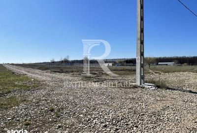 Teren de 543 mp, în Nojorid