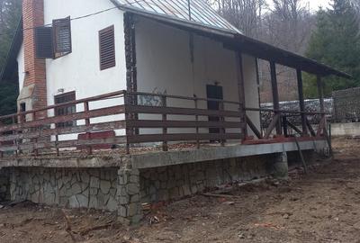 Spațiu comercial, de 700 mp, în Lipănești - 2
