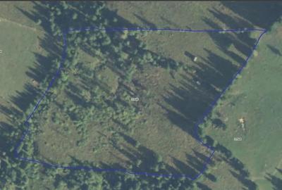 Teren de 37947 mp, în Pojorâta - 4