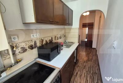 Apartament cu 2 camere semidecomandat în Botizului - 13