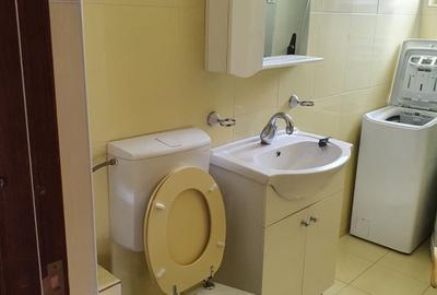 Garsonieră decomandată în Găvana - 5