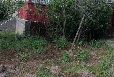 Casă cu 3 camere cu Teren 1800 Mp în Comlod - 1