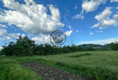 Teren agricol intravilan de 3600 mp, în Gura Vitioarei - 6